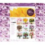 Creation site web e-commerce