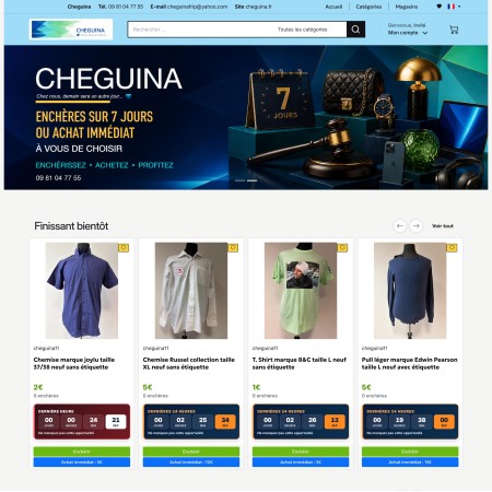 Création site de vente aux enchères Cheguina.fr RueDuSite