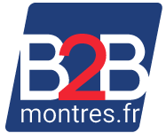 B2BMontres création de site dropshipping