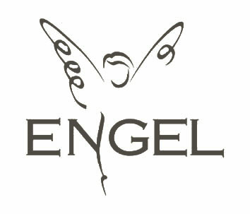 Nova Engel création site dropshipping