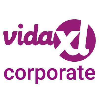 VidaXl création site dropshipping